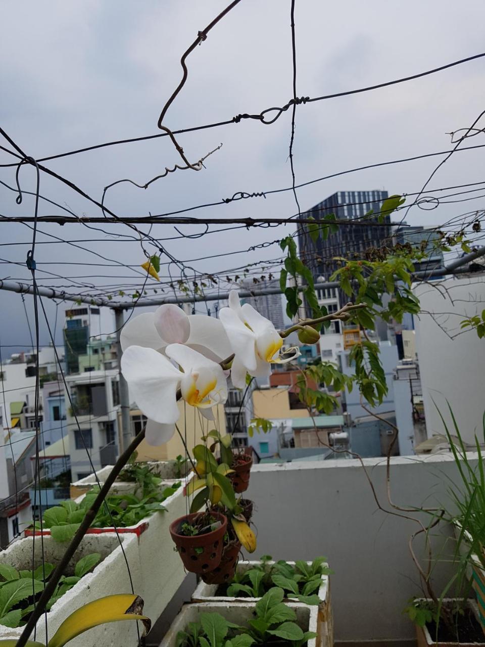 Urban House Saigon 2 Apartment โฮจิมินห์ซิตี้ ภายนอก รูปภาพ